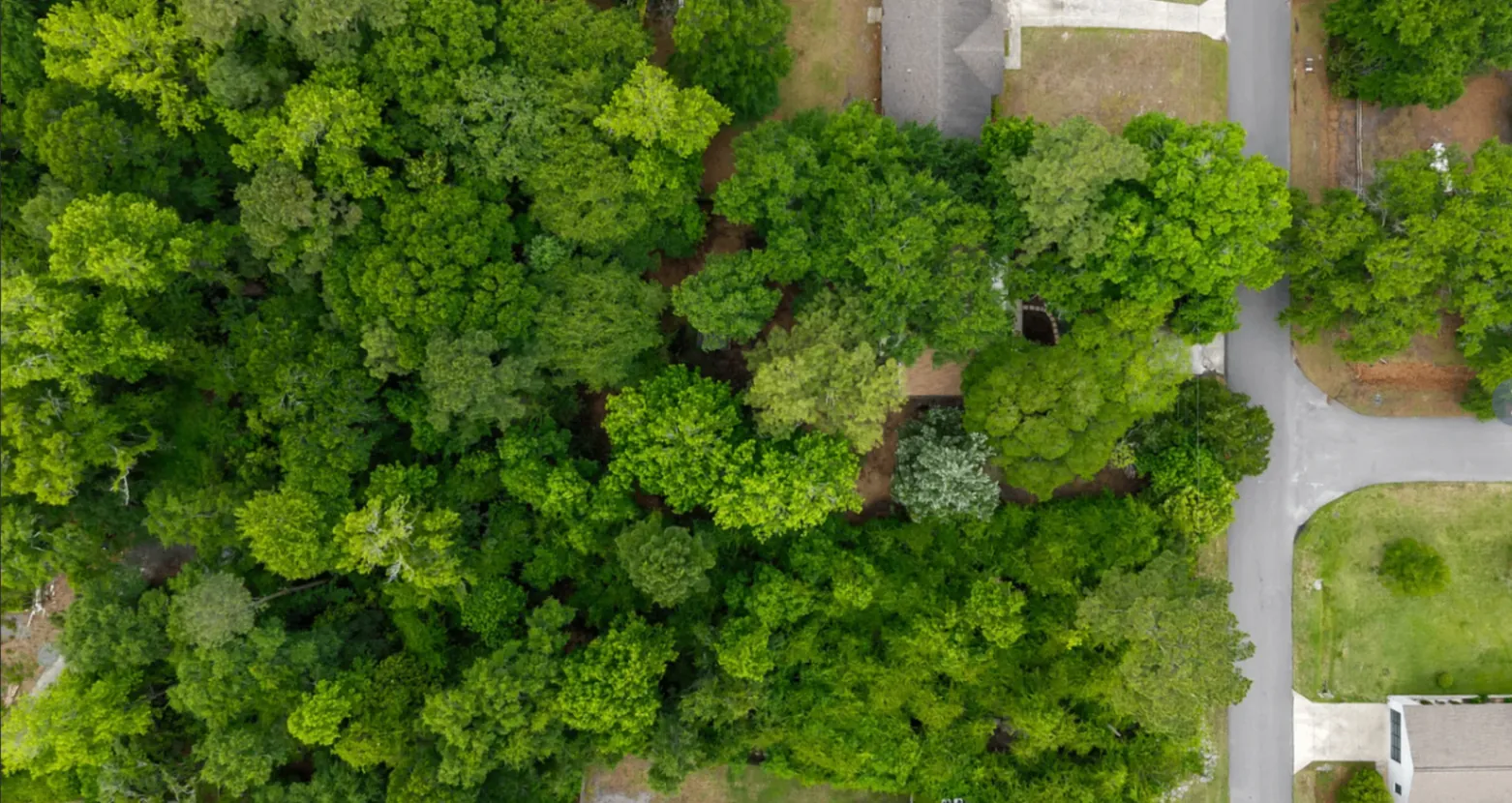 134 S Channel Haven Drive S — Wilmington NC coastal home exterior under live oaks